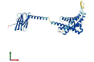 Protein Structure (PS) image for Protein tyrosine Phosphatase-Like A Domain Containing 1 (PTPLAD1) (AA 1-362) protein (His tag) (ABIN7564632)