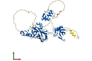 AlphaFold protein structure predicition of Human Recombinant TFCP2 Protein, UniprotID Q12800 (TFCP2 Protein (AA 1-502) (His tag))