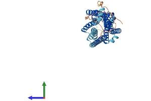 Protein Structure (PS) image for Neuromedin U Receptor 1 (NMUR1) (AA 1-426) protein (His tag) (ABIN7549770)