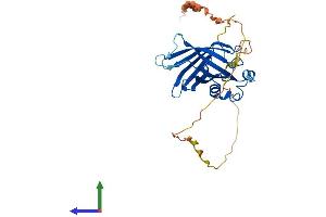Protein Structure (PS) image for GID Complex Subunit 4, VID24 Homolog (GID4) (AA 1-300) protein (His tag) (ABIN7547913)