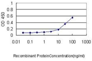 Detection limit for recombinant GST tagged ISG20 is approximately 0. (ISG20 抗体  (AA 1-181))