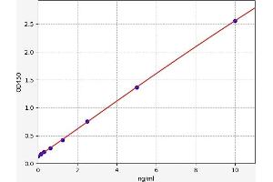 Typical standard curve (SRSF3 ELISA 试剂盒)