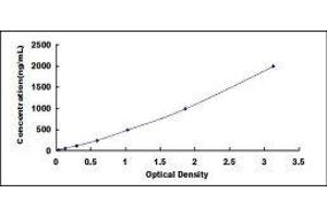 Typical standard curve (SERPINC1 ELISA 试剂盒)