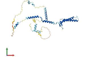 AlphaFold protein structure predicition of Human Recombinant ENKD1 Protein, UniprotID Q9H0I2