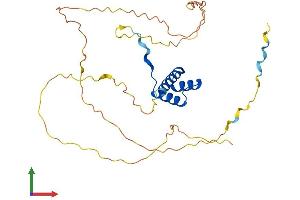 Protein Structure (PS) image for Distal-Less Homeobox 3 (DLX3) (AA 1-287) protein (His tag) (ABIN7547077)