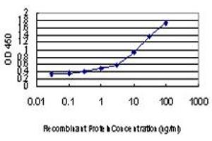 Detection limit for recombinant GST tagged AGR2 is approximately 0. (AGR2 抗体  (AA 1-175))