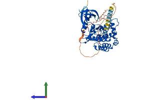 AlphaFold protein structure predicition of Mouse Recombinant Csnk1d Protein, UniprotID Q9DC28