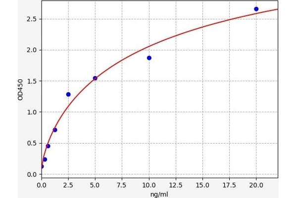 NOX1 ELISA 试剂盒