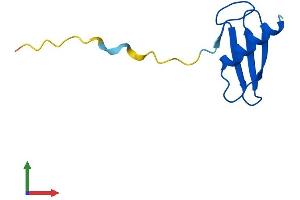Protein Structure (PS) image for Elongation Factor 1 Homolog (ELOF1) (AA 1-83) protein (Fc Tag) (ABIN7556553)