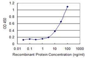 Detection limit for recombinant GST tagged SGCA is 1 ng/ml as a capture antibody. (SGCA 抗体  (AA 26-133))