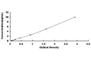 Typical standard curve (SMAD2 ELISA 试剂盒)