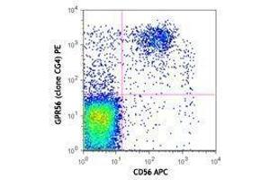 Flow Cytometry (FACS) image for anti-G Protein-Coupled Receptor 56 (GPR56) antibody (PE) (ABIN2662735)
