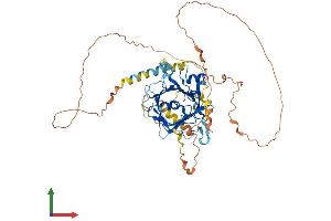 AlphaFold protein structure predicition of Human Recombinant TULP1 Protein, UniprotID O00294