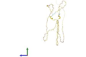 Protein Structure (PS) image for MyoD Family Inhibitor (MDFI) (AA 1-251) protein (His tag) (ABIN7556699)