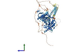 Protein Structure (PS) image for Oxysterol Binding Protein-Like 3 (OSBPL3) (AA 1-855) protein (His tag) (ABIN7565009)