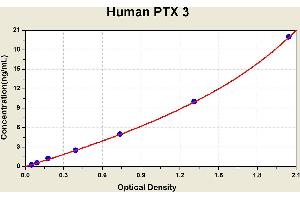 Pentraxin 3 (PTX3) ELISA Kit
