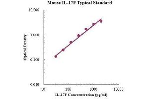 ELISA image for Interleukin 17F (IL17F) ELISA Kit (ABIN3198454)