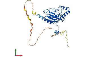 Protein Structure (PS) image for AKT Interacting Protein (AKTIP) (AA 1-292) protein (His tag) (ABIN7552110)