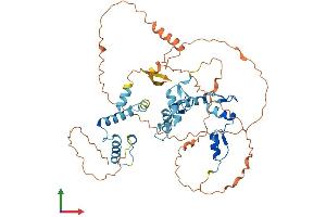 AlphaFold protein structure predicition of Human Recombinant ZSCAN5A Protein, UniprotID Q9BUG6