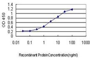 Detection limit for recombinant GST tagged NODAL is approximately 0. (Nodal 抗体  (AA 275-346))
