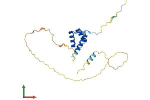 AlphaFold protein structure predicition of Mouse Recombinant Sebox Protein, UniprotID P70368