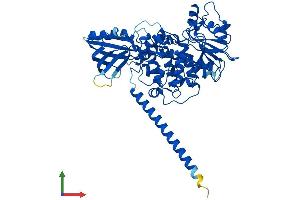 AlphaFold protein structure predicition of Human Recombinant MTMR9 Protein, UniprotID Q96QG7