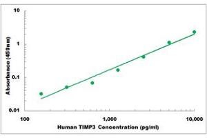 Representative Standard Curve (TIMP3 ELISA 试剂盒)
