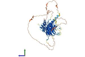 Protein Structure (PS) image for SMAD, Mothers Against DPP Homolog 6 (SMAD6) (AA 1-495) protein (His tag) (ABIN7562279)