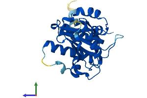 AlphaFold protein structure predicition of Mouse Recombinant Senp8 Protein, UniprotID Q9D2Z4
