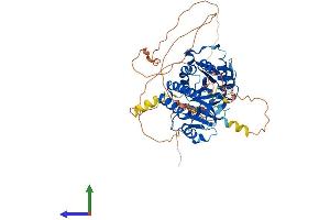 Protein Structure (PS) image for Phosphatidylinositol-4-Phosphate 5-Kinase, Type I, beta (PIP5K1B) (AA 1-540) protein (His tag) (ABIN7550775)