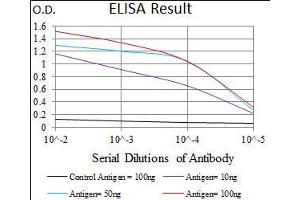Black line: Control Antigen (100 ng), Purple line: Antigen(10 ng), Blue line: Antigen (50 ng), Red line: Antigen (100 ng), (GUCY1A1 抗体  (AA 22-214))