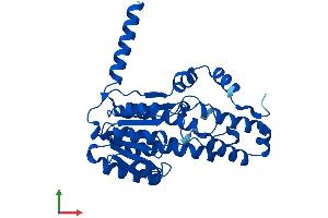 AlphaFold protein structure predicition of Human Recombinant RDH16 Protein, UniprotID O75452