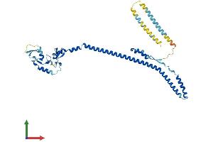 Protein Structure (PS) image for Tripartite Motif Containing 59 (TRIM59) (AA 1-403) protein (His tag) (ABIN7560244)
