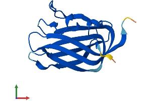 Protein Structure (PS) image for Heat Shock Protein Family B (Small), Member 11 (HSPB11) (AA 1-144) protein (His tag) (ABIN7548431)