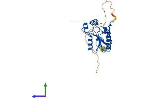 Protein Structure (PS) image for NEDD4 Binding Protein 2-Like 1 (N4BP2L1) (AA 1-238) protein (His tag) (ABIN7557354)
