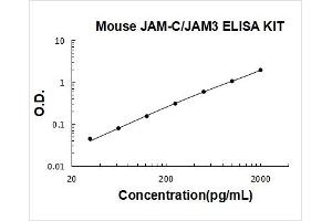 Typical Standard Curve
