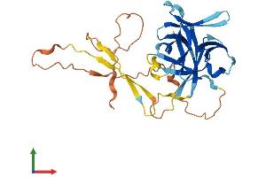 AlphaFold protein structure predicition of Human Recombinant IL33 Protein, UniprotID O95760