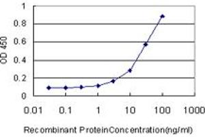 Detection limit for recombinant GST tagged PRDX1 is approximately 1ng/ml as a capture antibody. (Peroxiredoxin 1 抗体  (AA 1-199))