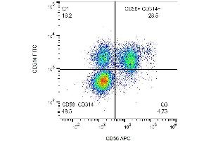 Flow Cytometry (FACS) image for anti-Killer Cell Lectin-Like Receptor Subfamily K, Member 1 (KLRK1) antibody (FITC) (ABIN1027688)