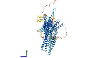 Protein Structure (PS) image for Solute Carrier Family 30 (Zinc Transporter), Member 5 (SLC30A5) (AA 1-765) protein (His tag) (ABIN7556150)