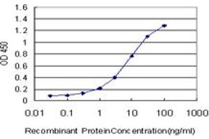 Detection limit for recombinant GST tagged UCKL1 is approximately 0. (UCKL1 抗体  (AA 301-400))