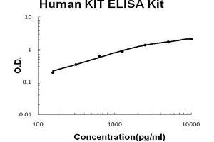 Human KIT/SCFR PicoKine ELISA Kit standard curve (KIT ELISA 试剂盒)
