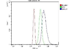 Flow Cytometry analysis of HL-60 cells using anti-MRE11 antibody (ABIN7600025).