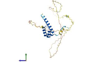 Protein Structure (PS) image for Homeobox C9 (HOXC9) (AA 1-260) protein (His tag) (ABIN7548360)