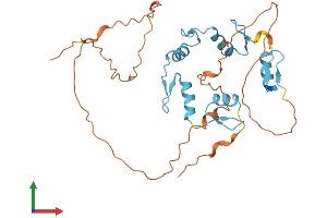 Protein Structure (PS) image for Scratch Homolog 2, Zinc Finger Protein (SCRT2) (AA 1-311) protein (His tag) (ABIN7558873)