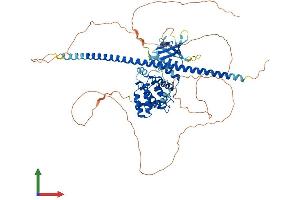 Protein Structure (PS) image for rho GTPase Activating Protein 22 (ARHGAP22) (AA 1-702) protein (His tag) (ABIN7564385)