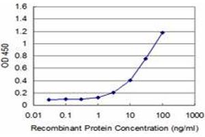 Detection limit for recombinant GST tagged EGFR is approximately 1ng/ml as a capture antibody. (EGFR 抗体  (AA 26-125))
