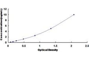 Typical standard curve (ISL1 ELISA 试剂盒)