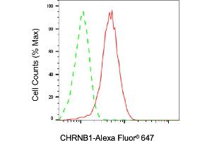 Flow cytometric analysis of CHRNB1 expression in HAP-1 cells using CHRNB1 antibody (ABIN7799596), 1:2,000). (Recombinant CHRNB1 抗体)