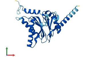 Protein Structure (PS) image for Proteasome Subunit alpha  7 (PSMA7) (AA 1-248) protein (His tag) (ABIN7556445)